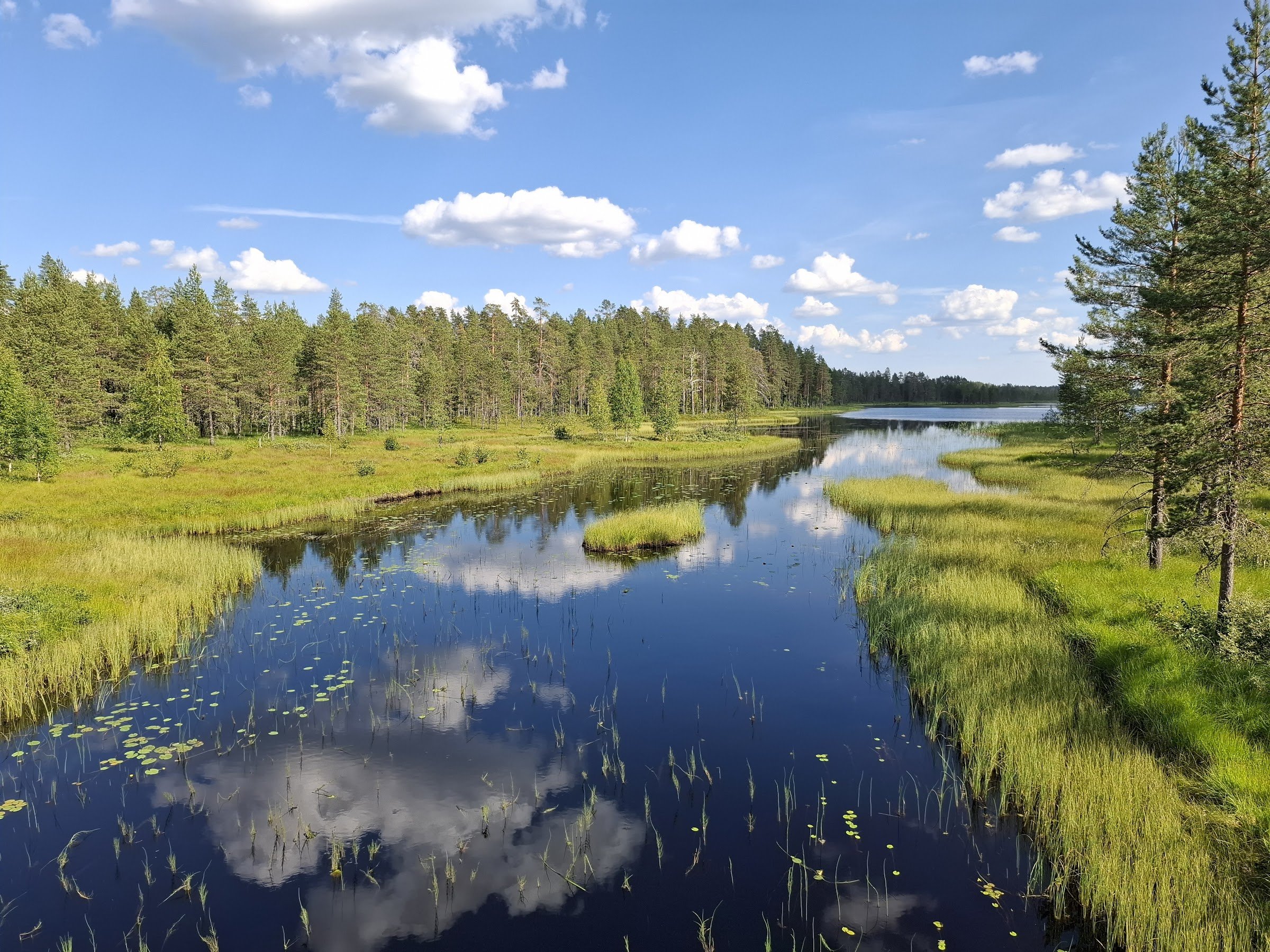 Tiilikkajärvi National Park